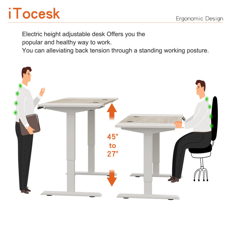 iTocesk Height Adjustable Standing Desk & Reviews Wayfair